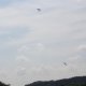 20130607_rentnerfliegen (6)